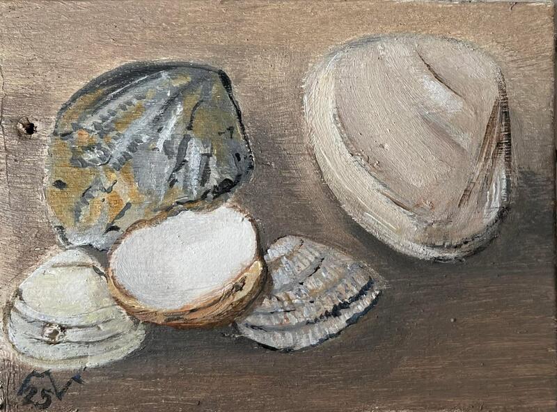 Schelpen